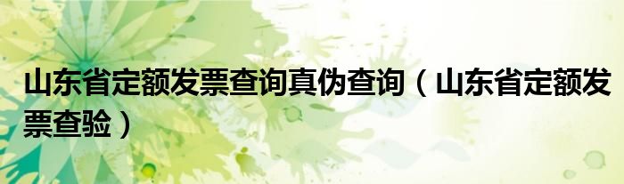 山东省定额发票查询真伪查询（山东省定额发票查验）