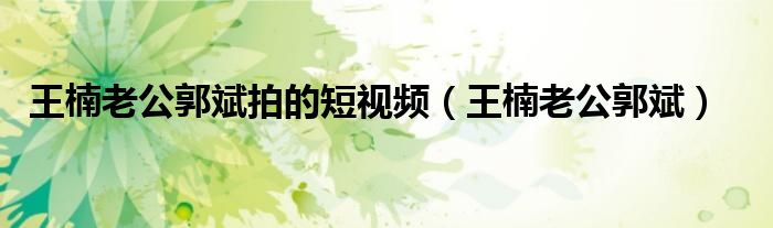 王楠老公郭斌拍的短视频（王楠老公郭斌）