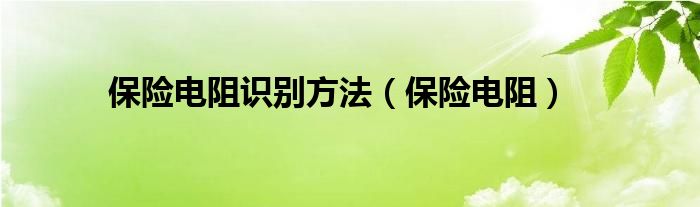 保险电阻识别方法（保险电阻）