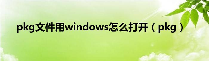 pkg文件用windows怎么打开（pkg）