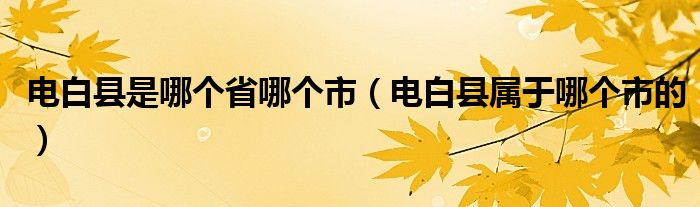 电白县是哪个省哪个市（电白县属于哪个市的）