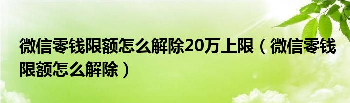 微信零钱限额怎么解除20万上限（微信零钱限额怎么解除）