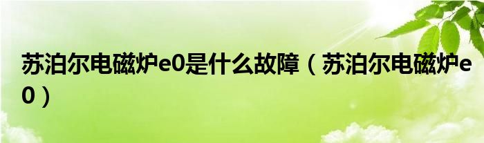 苏泊尔电磁炉e0是什么故障（苏泊尔电磁炉e0）