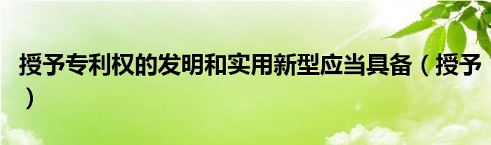 授予专利权的发明和实用新型应当具备（授予）