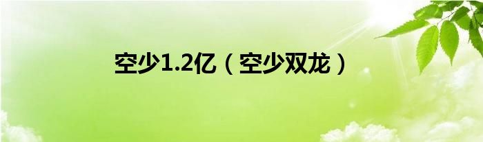 空少1.2亿（空少双龙）