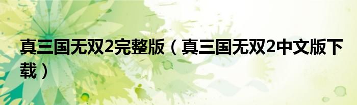 真三国无双2完整版（真三国无双2中文版下载）