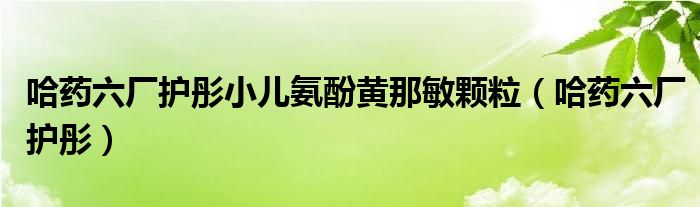 哈药六厂护彤小儿氨酚黄那敏颗粒（哈药六厂护彤）