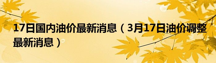 17日国内油价最新消息（3月17日油价调整最新消息）