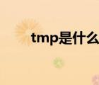 tmp是什么文件（tmp是什么文件）