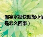 喝完水很快就想小便是怎么回事中医（喝完水很快就想小便是怎么回事）