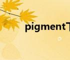 pigment下载最新版（pigment）