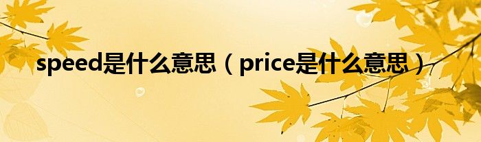 speed是什么意思（price是什么意思）