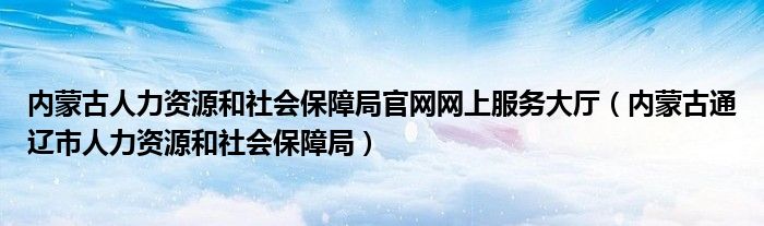 内蒙古人力资源和社会保障局官网网上服务大厅（内蒙古通辽市人力资源和社会保障局）