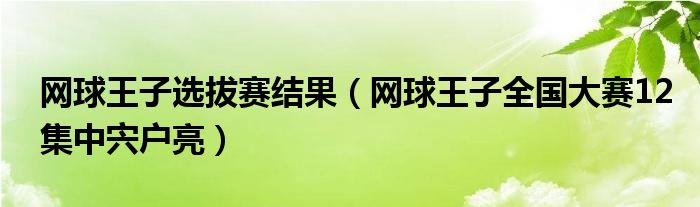 网球王子选拔赛结果（网球王子全国大赛12集中宍户亮）