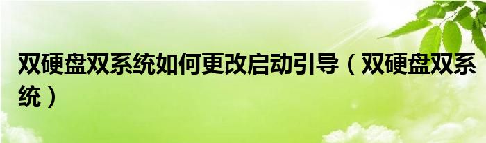 双硬盘双系统如何更改启动引导（双硬盘双系统）