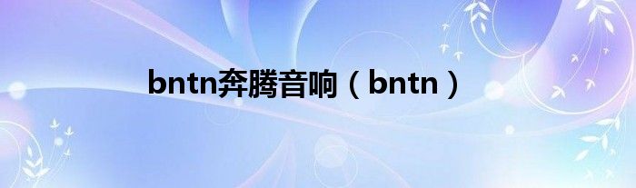 bntn奔腾音响（bntn）