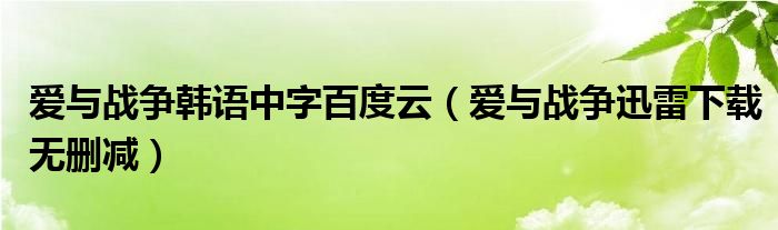 爱与战争韩语中字百度云（爱与战争迅雷下载无删减）