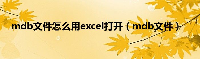 mdb文件怎么用excel打开（mdb文件）