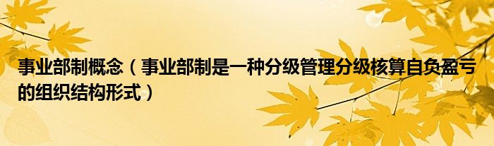 事业部制概念（事业部制是一种分级管理分级核算自负盈亏的组织结构形式）