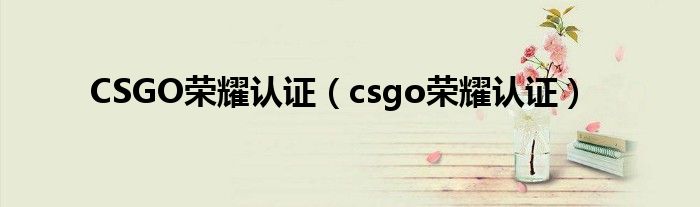 CSGO荣耀认证（csgo荣耀认证）