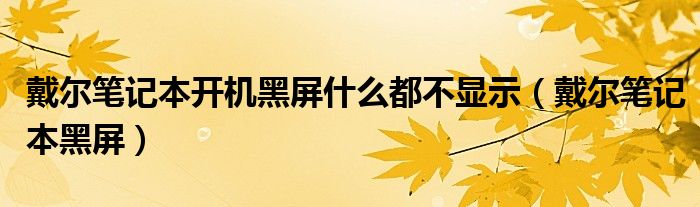 戴尔笔记本开机黑屏什么都不显示（戴尔笔记本黑屏）