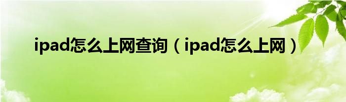 ipad怎么上网查询（ipad怎么上网）