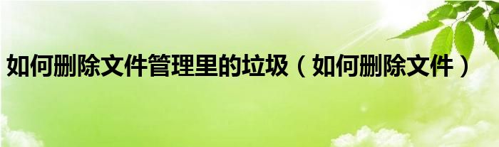 如何删除文件管理里的垃圾（如何删除文件）