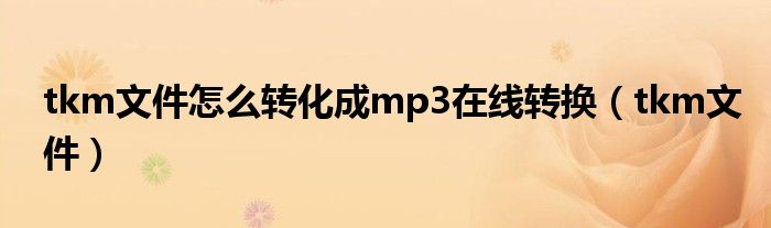 tkm文件怎么转化成mp3在线转换（tkm文件）