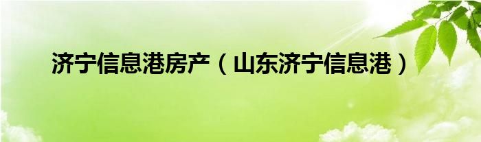 济宁信息港房产（山东济宁信息港）