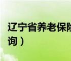 辽宁省养老保险查询官网（辽宁省养老保险查询）