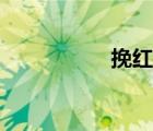 挽红颜静芬（挽红颜）