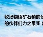 牧场物语矿石镇的伙伴们力之果实怎么钓（牧场物语矿石镇的伙伴们力之果实）