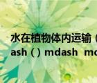 水在植物体内运输（植物体内水的运输途径( ) mdash  mdash ( ) mdash  mdash ( ) mdash  mdash ( )）