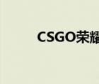 CSGO荣耀认证（csgo荣耀认证）