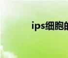 ips细胞的培养方法（ips细胞）