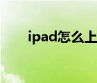 ipad怎么上网查询（ipad怎么上网）