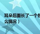 耳朵后面长了一个包是怎么回事啊（耳朵后面长了个包是什么情况）