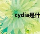 cydia是什么软件（cydia是什么）