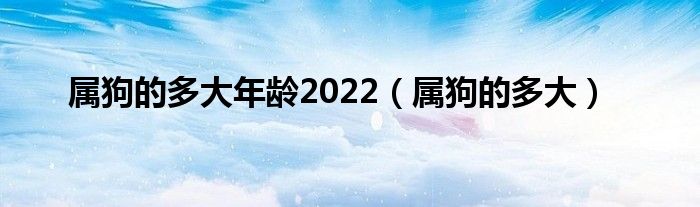 属狗的多大年龄2022（属狗的多大）