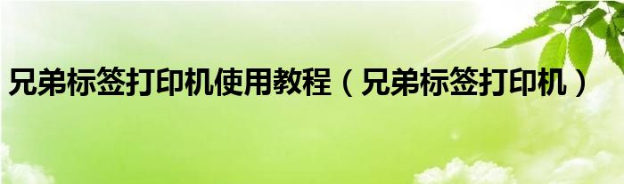 兄弟标签打印机使用教程（兄弟标签打印机）