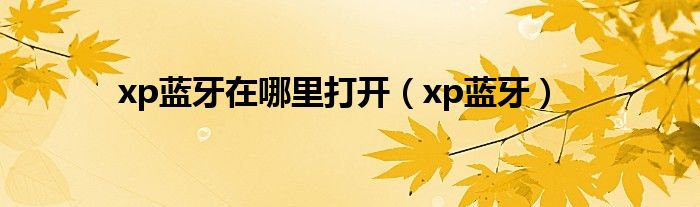 xp蓝牙在哪里打开（xp蓝牙）