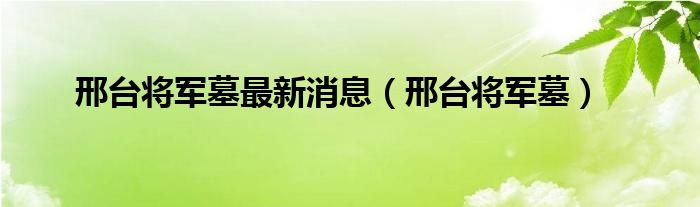 邢台将军墓最新消息（邢台将军墓）