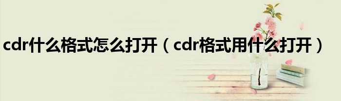 cdr什么格式怎么打开（cdr格式用什么打开）