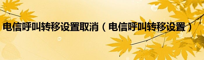 电信呼叫转移设置取消（电信呼叫转移设置）