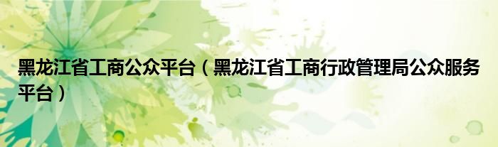 黑龙江省工商公众平台（黑龙江省工商行政管理局公众服务平台）