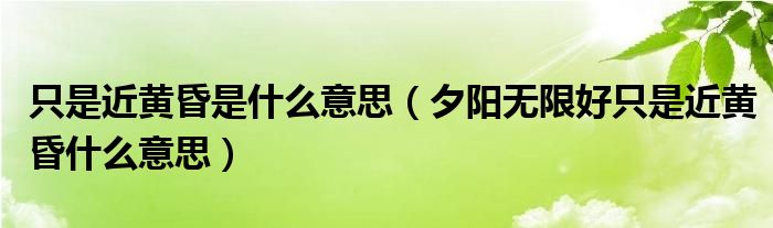 只是近黄昏是什么意思（夕阳无限好只是近黄昏什么意思）