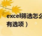 excel筛选怎么加选项（Excel 自动筛选后没有选项）