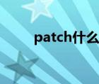 patch什么意思中文（patch exe）