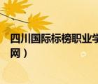 四川国际标榜职业学院官网招生（四川国际标榜职业学院官网）