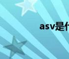 asv是什么文件（asv屏幕）